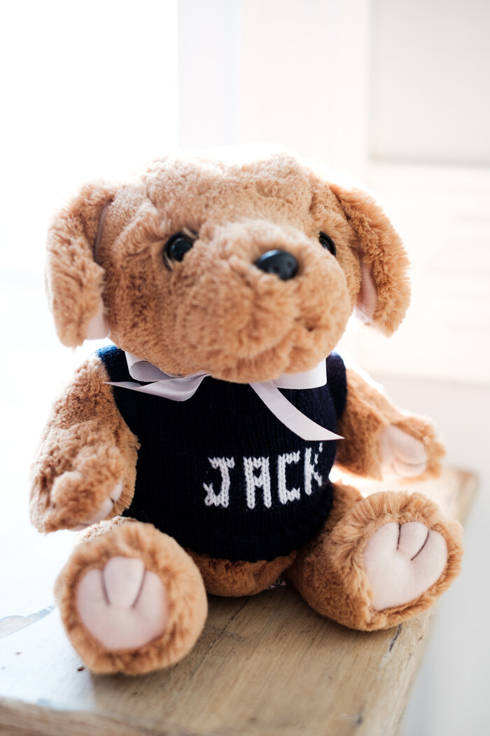 Plush Stuffed Dog with Personalized Sweater